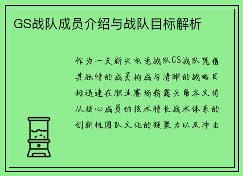 GS战队成员介绍与战队目标解析