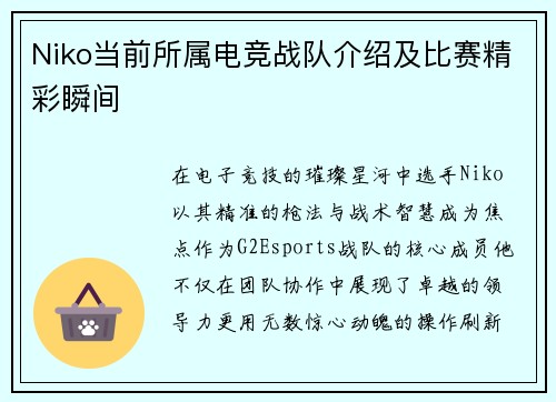 Niko当前所属电竞战队介绍及比赛精彩瞬间