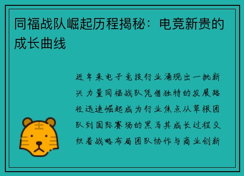 同福战队崛起历程揭秘：电竞新贵的成长曲线